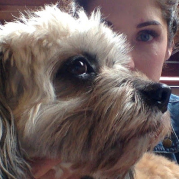 Meet your Posher, Miri - Picture 1 of 1